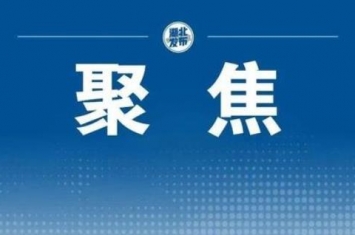 中国首款明年量产上车的车,首款量产汽车有哪些