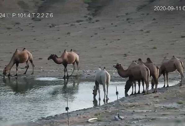 十一旅游去哪里最合适?游千年古镇，赏天下奇观(极致旅游体验)