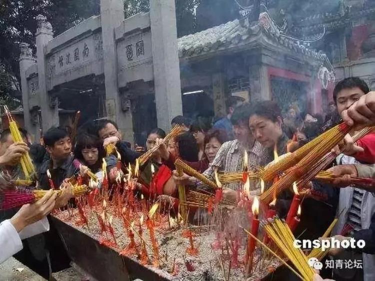 各地奇闻怪事,未解之谜奇闻怪事集锦