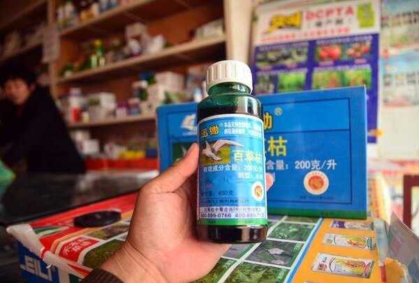 百草枯产品不得在境内销售：剧毒物质人间杀手