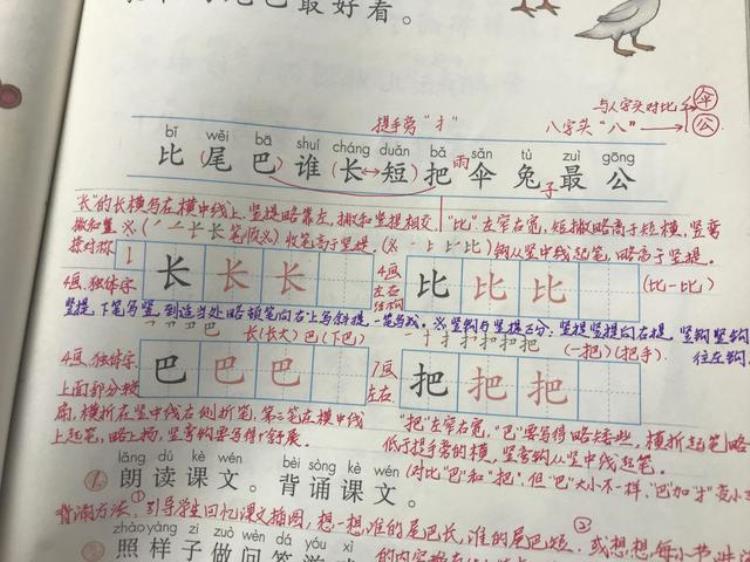 写字教学方法和经验,如何培养学生正确的写字姿势