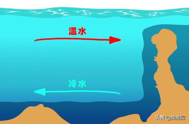 小知识推荐你或许并不知道的7个古怪趣闻作文,你不知道的23个奇闻趣事