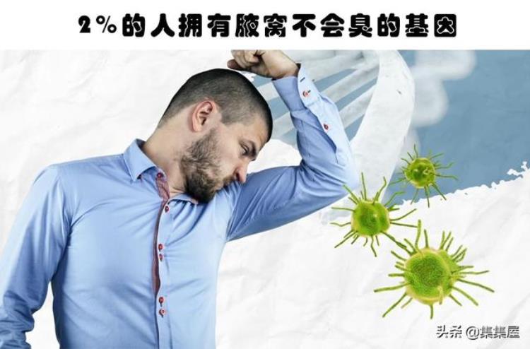 小知识推荐你或许并不知道的7个古怪趣闻作文,你不知道的23个奇闻趣事