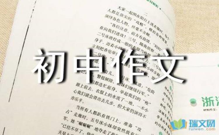 暑假趣事的精彩作文600字数,暑假趣事作文600左右