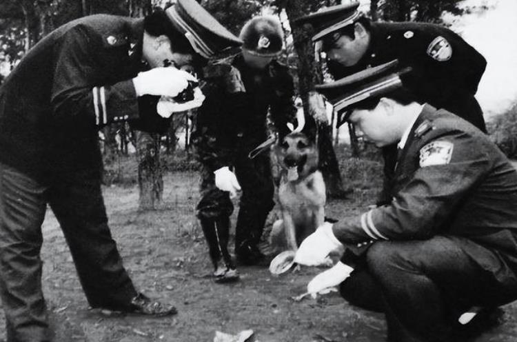 2000年湖南一山村闹鬼死鸡死猪死人引起民警怀疑鬼是恶毒少妇