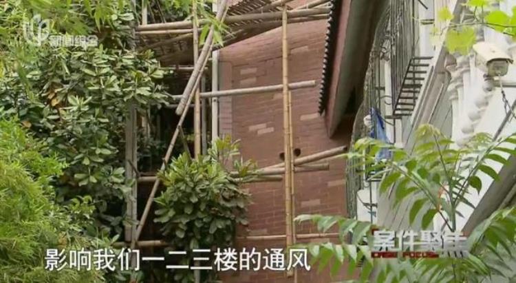 红木衣橱长满诡异白毛邻居入住后自家别墅变鬼宅男业主被迫搬走11年