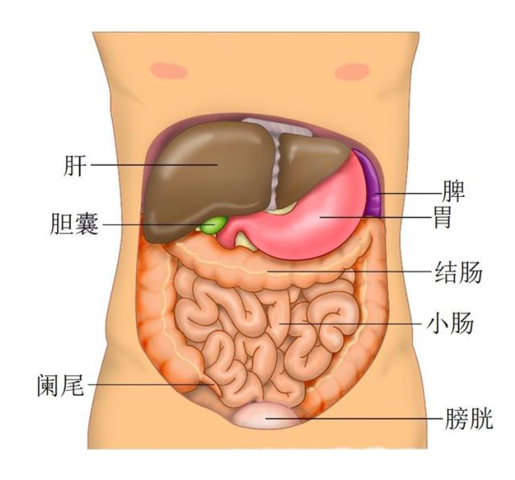 诡异的冻尸脱衣从大脑亢奋到发热脱衣最后含笑死亡