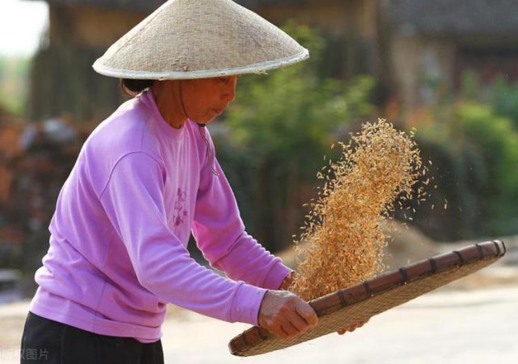 十个簸箕没有斗只往外簸没处装什么意思,十指簸箕没有斗啥意思