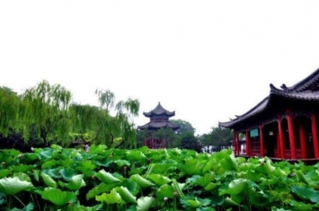 济南大明湖和夏雨荷是怎么回事,大明湖夏雨荷的故事50字