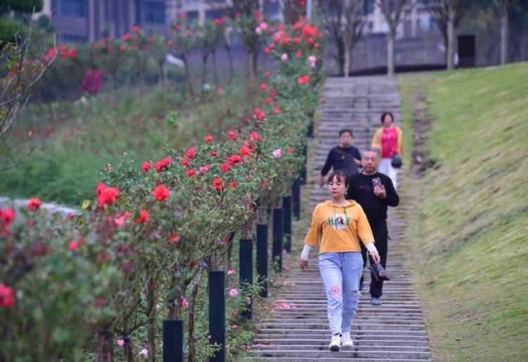 杭州一电动车自燃,杭州市新能源汽车自燃