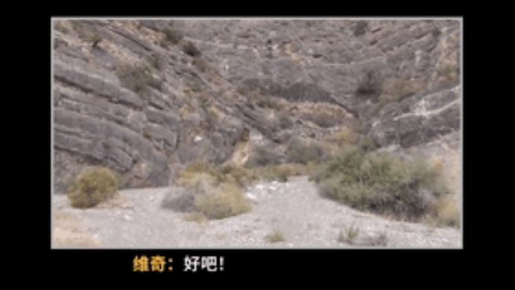 男子深山发现神秘山洞,神奇山洞消失之谜