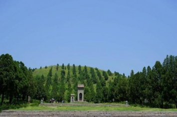 天子陵墓前为何不种柏树,墓地为什么种柏树