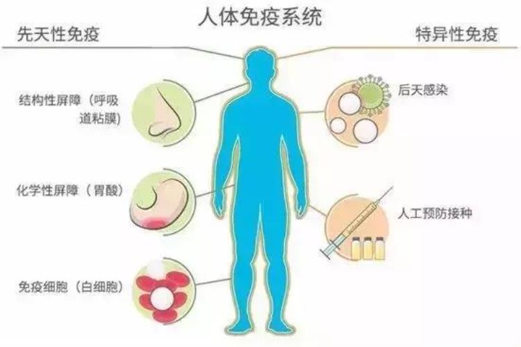 水痘痊愈后病毒会潜伏在神经吗,水痘得一次就终身免疫吗