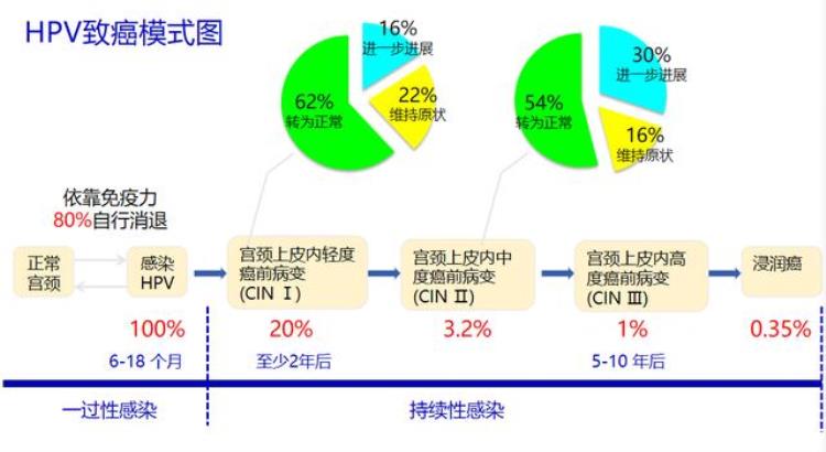 如何理解HPV持续感染,hpv持续阳性怎么办