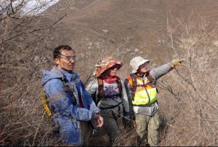 北京教师登山失踪遗书,28岁老师离奇失踪