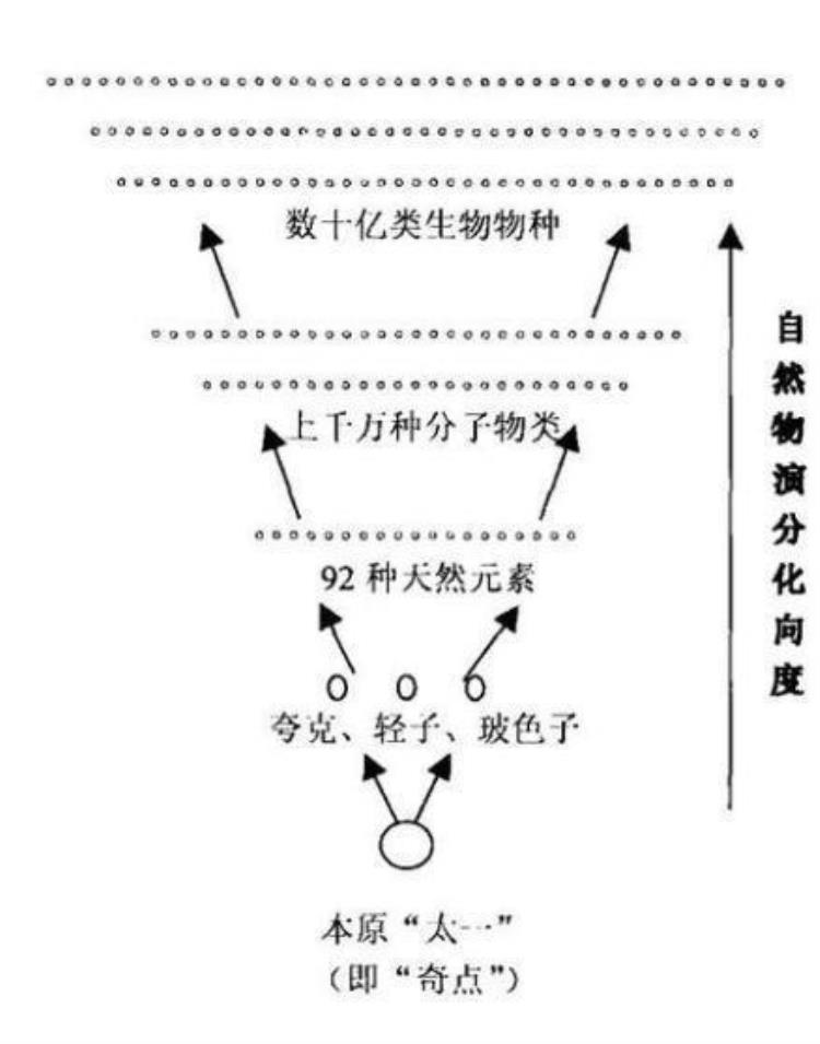 为何病毒结构简单却危害巨大且难以对付,病毒杀伤力排行榜