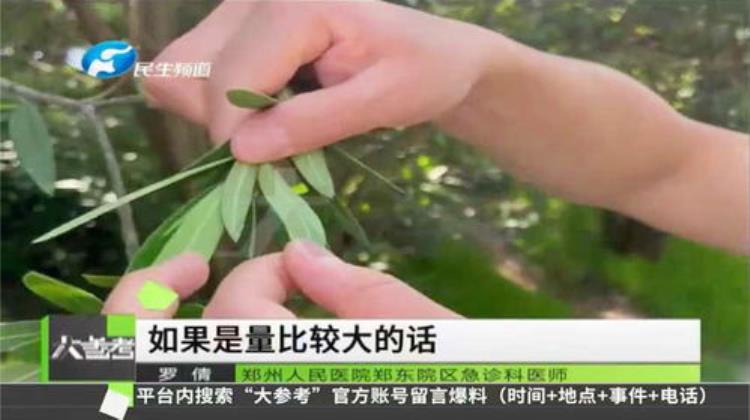 怎样可以百毒不侵,仙人掌类的植物哪些没有毒