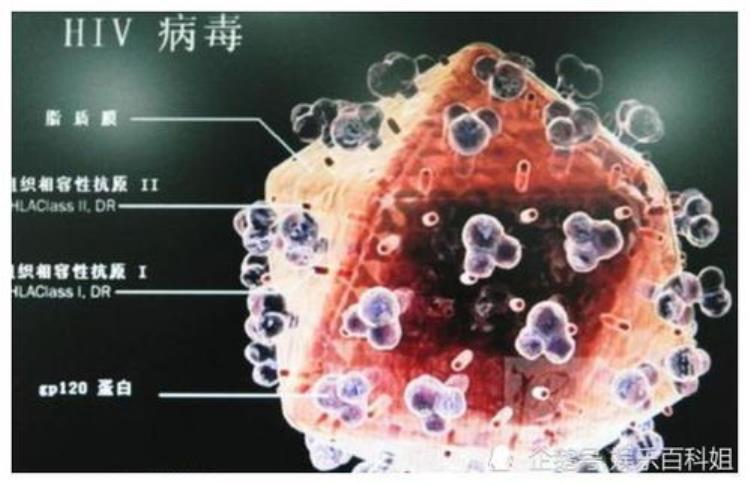 琅琊还是狼牙病毒应该如何命名