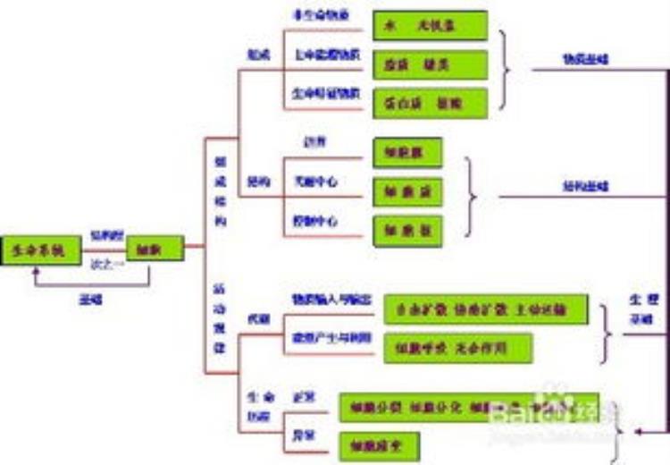 生物可以这样学,生物知识点图解