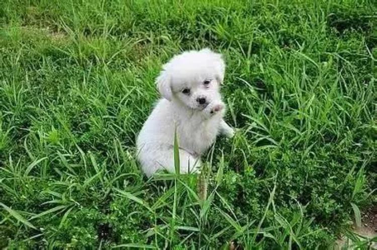 芜湖繁昌介绍,芜湖各县的来历