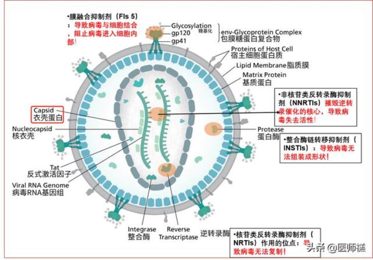 抗逆转录病毒药最后的后悔药医生要你明白不要抗拒请坚持服用