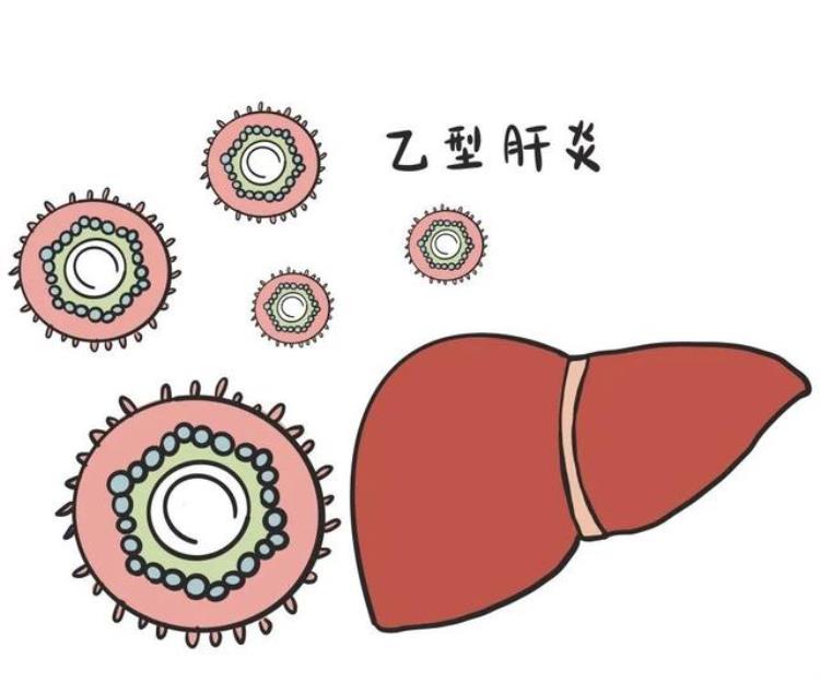 科普乙型肝炎病毒你知道多少种,乙型肝炎病毒能治好吗