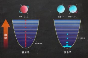 费米子和玻色子的区别，玻色子和费米子举例划分