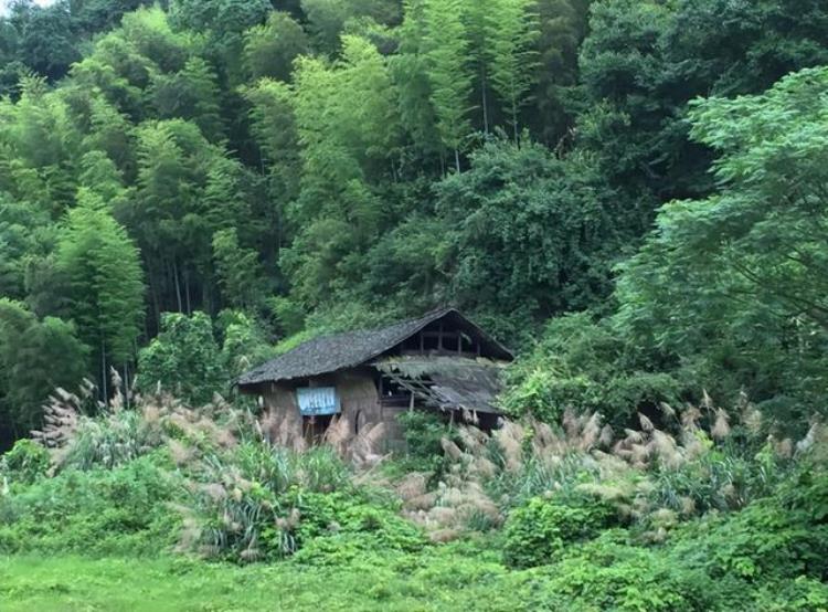 湖北怪村生一个死一个真相,湖北十大灵异村