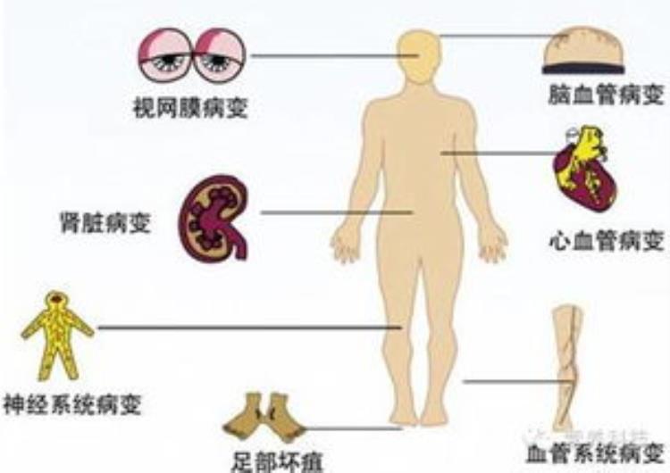 covid19致病原理,哪些人群易患covid-19