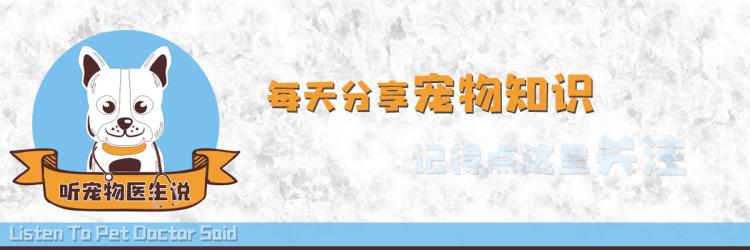 还在用庆大霉素治疗狗狗细小病毒吗抗生素是消炎的它杀不死病毒