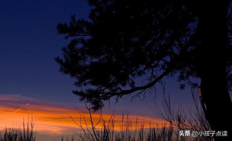 白居易的诗江楼晚眺景物鲜奇,江楼晚眺的古诗配图