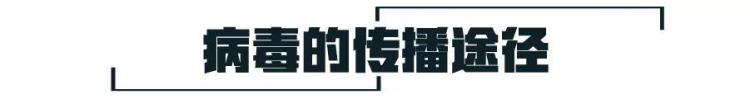 滤芯口罩可以防病毒吗,戴口罩真的可以阻隔新冠病毒吗