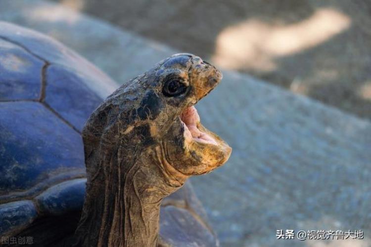 莒县露底湖的传说,莒县唐家湖来历