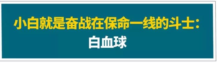 四名女生围殴一名男生的故事,黄毛打架斗殴事件