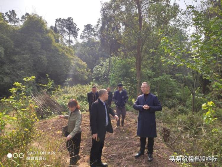 隆昌双凤驿突然跑出一个打败张献忠的女侠韩秀英