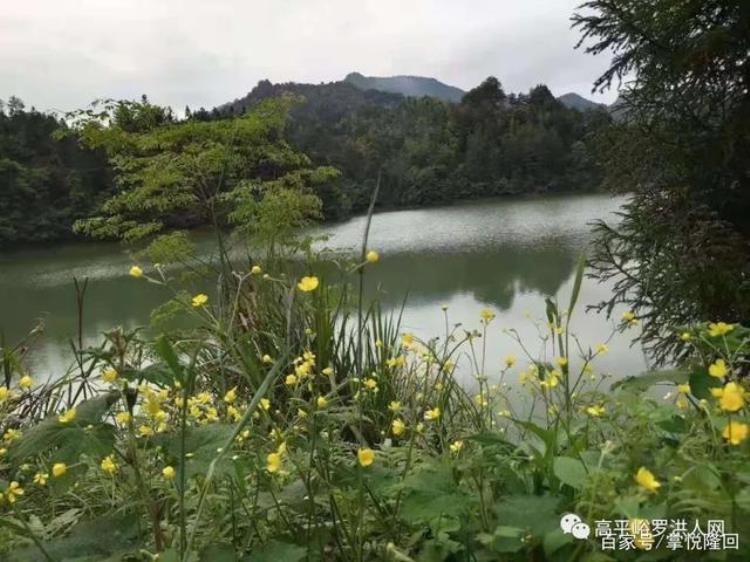 湖南隆回岩口藕塘新闻,湖南隆回岩口白事