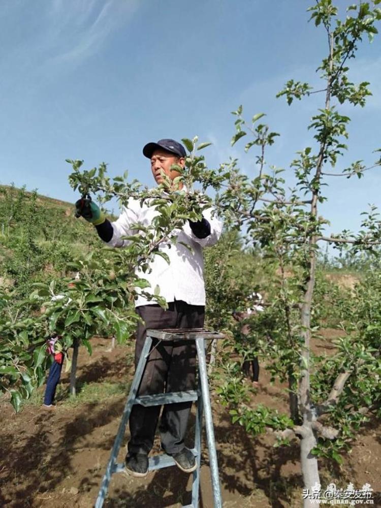 脱贫致富带头人王立忠带领村民脱贫致富的当家人