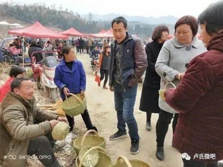 卢氏县庙会,卢氏县土地岭庙会