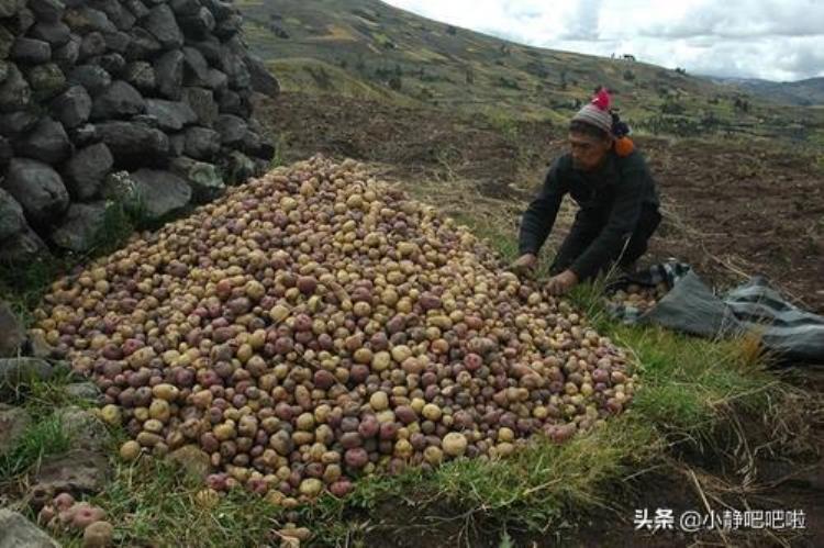 关于秘鲁的知识,探秘秘鲁