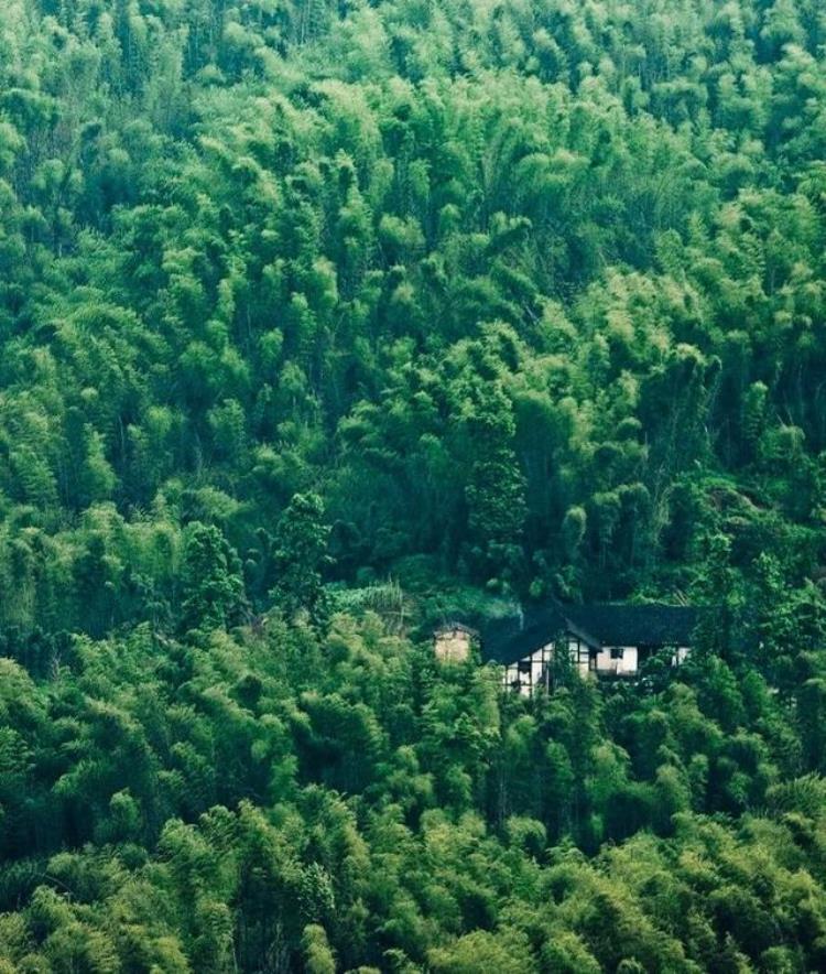 时差岛|神仙都喜欢在四川定居