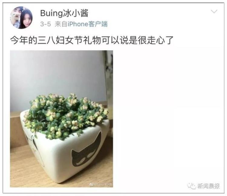 感冒药大白鹅洗澡桶看到大家晒的妇女节福利我笑了