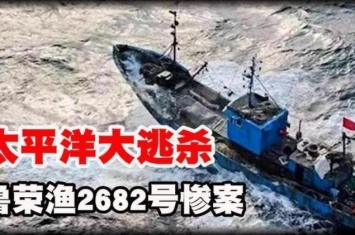 鲁荣渔2682号惨案 太平洋大逃杀纪实,鲁荣渔2682号惨案33名海员出海