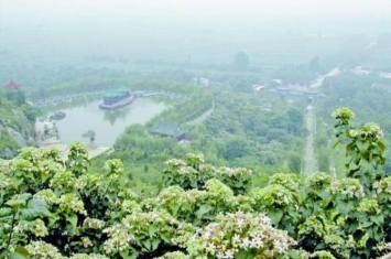 巨野旅游景点哪里好玩,山东巨野县自驾游