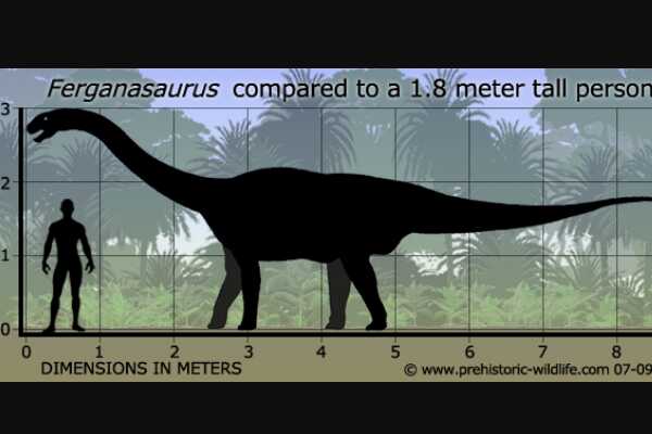 巨型植食恐龙:费尔干纳龙 最长可达16米(诞生于侏罗纪)