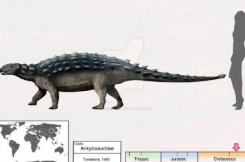 白山龙：蒙古国大型食草恐龙（长6.5米/距今9300万年前）