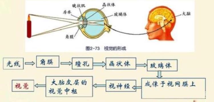 人死后眼睛会留下影像吗,死人死后会看见曾经的事吗