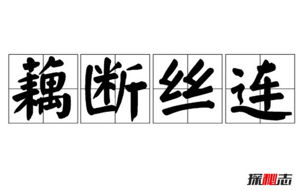 莲藕有丝是怎么回事?藕断丝连科学解释