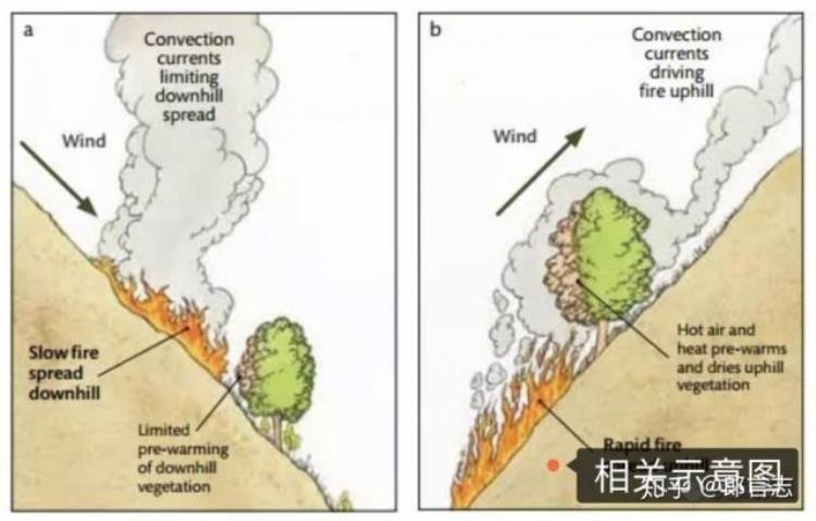 凉山火灾消防员是什么原因导致他们死亡,四川凉山30名消防为救火而牺牲