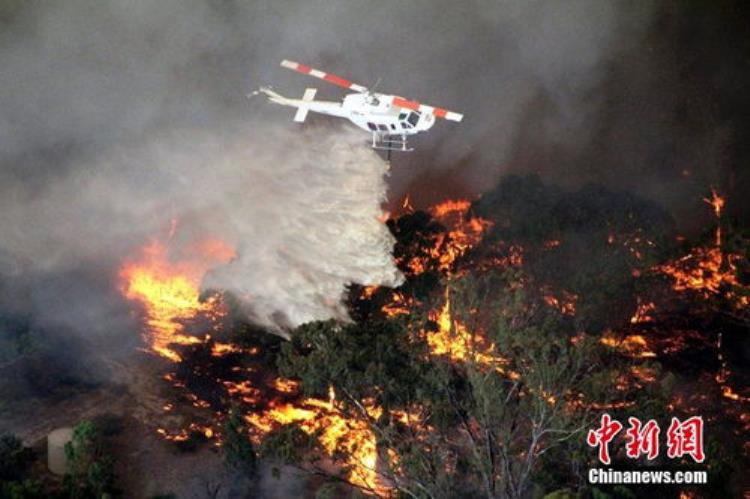 凉山火灾消防员是什么原因导致他们死亡,四川凉山30名消防为救火而牺牲