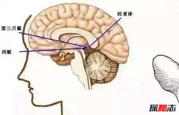 日常生活如何预防癌症?预防癌症的十个秘诀